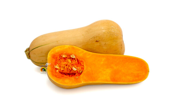 Calabaza Butternut - 30 semillas