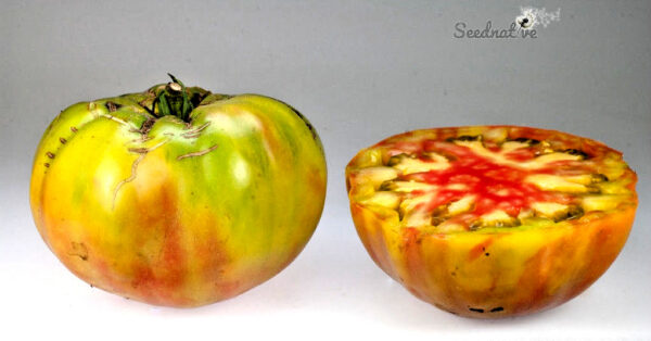 Tomate Ananas Noire - 15 semillas - Imagen 5