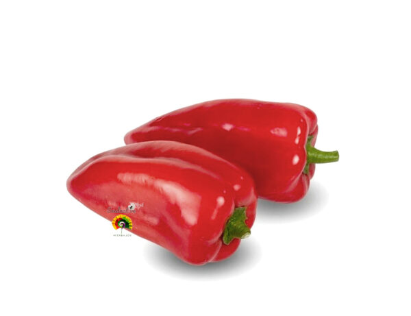 Pimiento del Piquillo - 150 semillas - Imagen 4