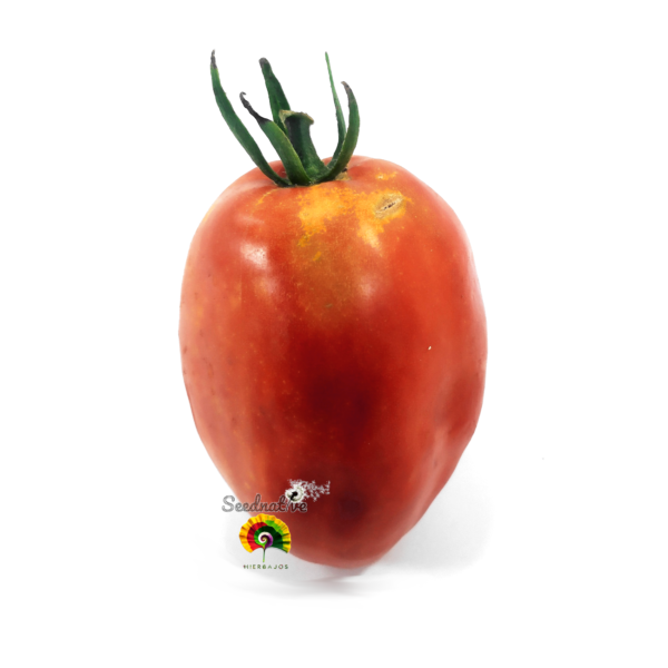 Tomate Fresa - 25 semillas - Imagen 2