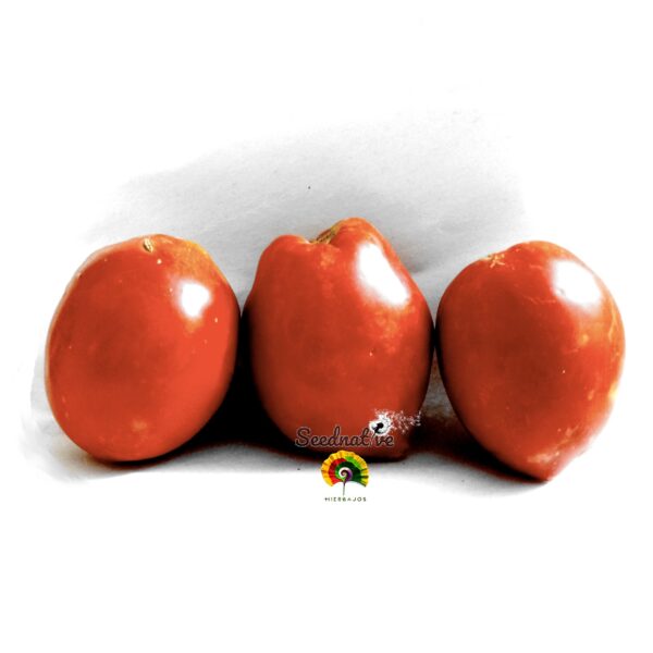 Tomate Fresa - 25 semillas - Imagen 3