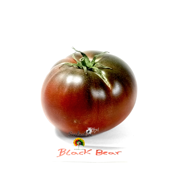 Tomate Black Bear - 30 semillas - Imagen 3