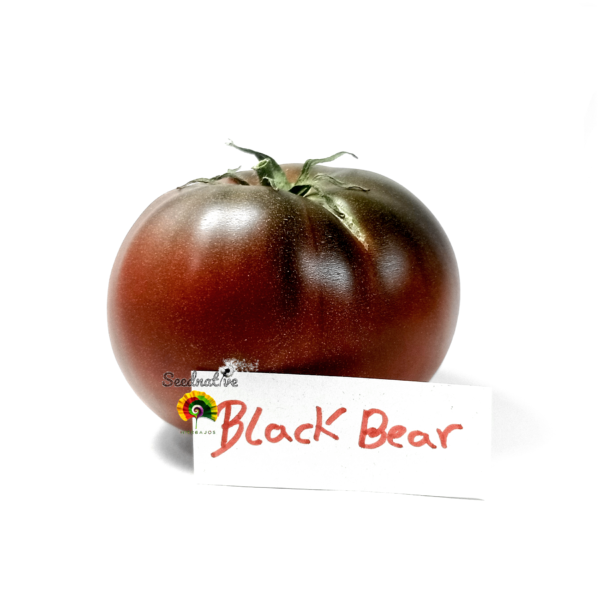 Tomate Black Bear - 30 semillas - Imagen 2