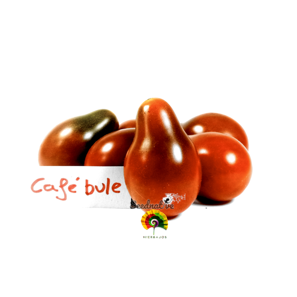 Tomate Café Bule - 15 semillas - Imagen 2