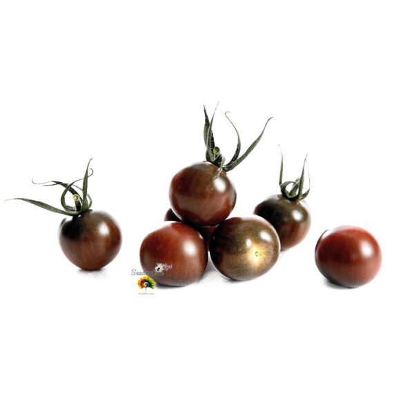 Tomate Chocolate Cherry - 30 semillas