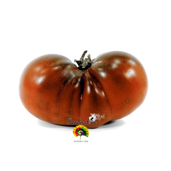 Pack de Semillas de Tomate - Tomate Gigante - 16 Variedades - Imagen 12