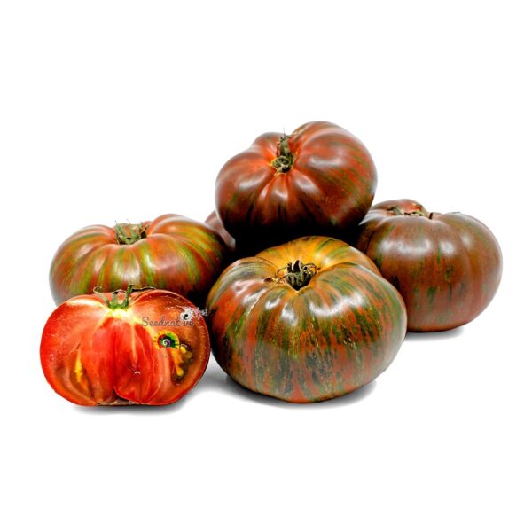 Tomate Chocolate Stripes - 15 semillas