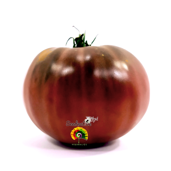 Tomate Negro de Crimea - 25 semillas - Imagen 2