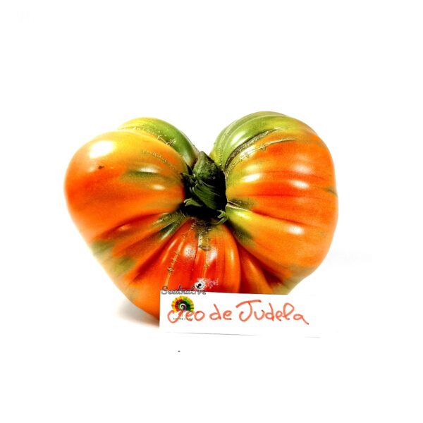 Tomate Feo de Tudela - 25 semillas - Imagen 2