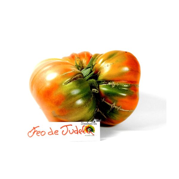 Tomate Feo de Tudela - 25 semillas