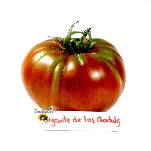 Pack de Semillas de Tomate - Tomate Gigante - 16 Variedades - Imagen 8