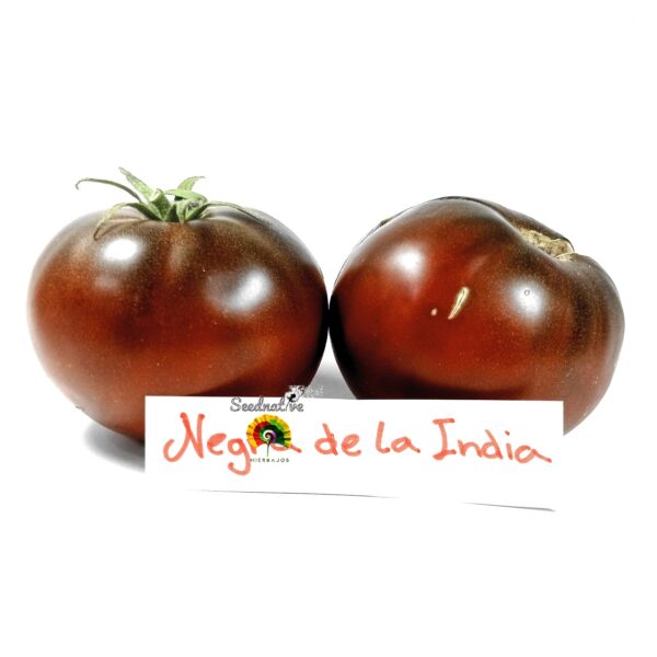 Tomate Negra de la India - 30 semillas