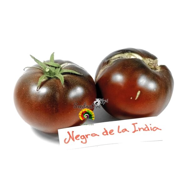 Tomate Negra de la India - 30 semillas - Imagen 2