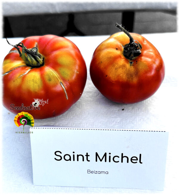 Tomate Saint Michel - 20 semillas