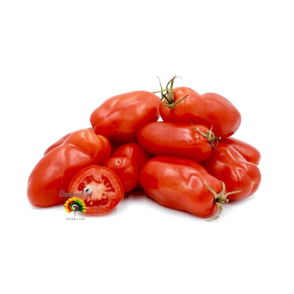 Tomate San Marzano Nano - 50 semillas