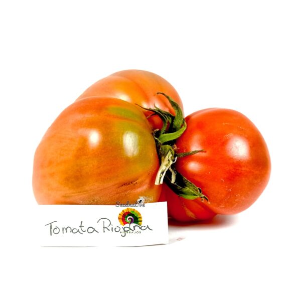 Pack de Semillas de Tomate - Tomate Gigante - 16 Variedades - Imagen 3