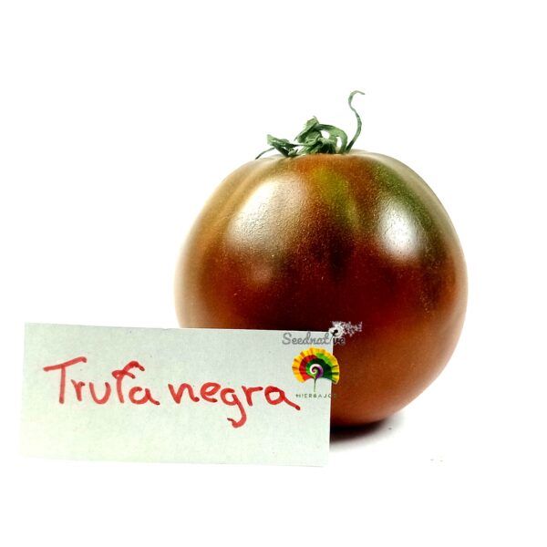 Tomate Trufa Negra Japonesa - 15 semillas - Imagen 2