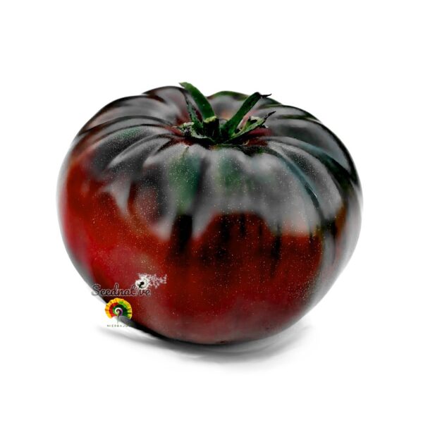 Tomate Negro de Tula - 30 semillas