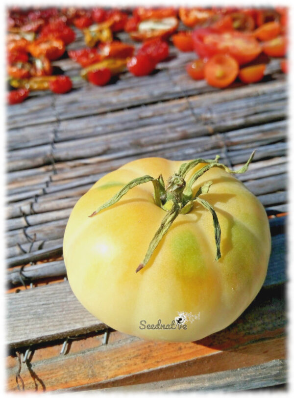 Tomate Great White - 25 semillas - Imagen 4