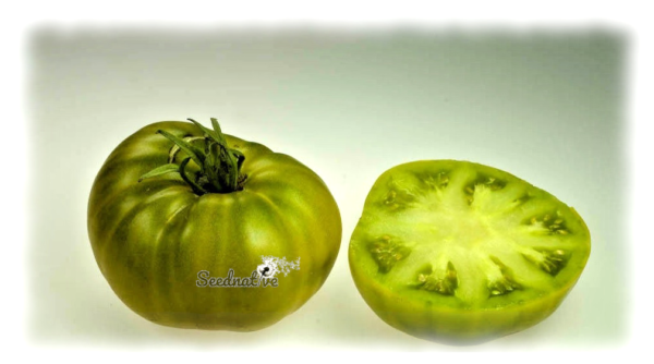 Tomate Siempreverde - 25 semillas - Imagen 3