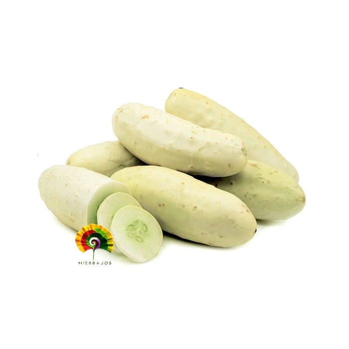 Semillas De Pepino Blanco 6g A $14.50 .: La Semillería - Foto 4